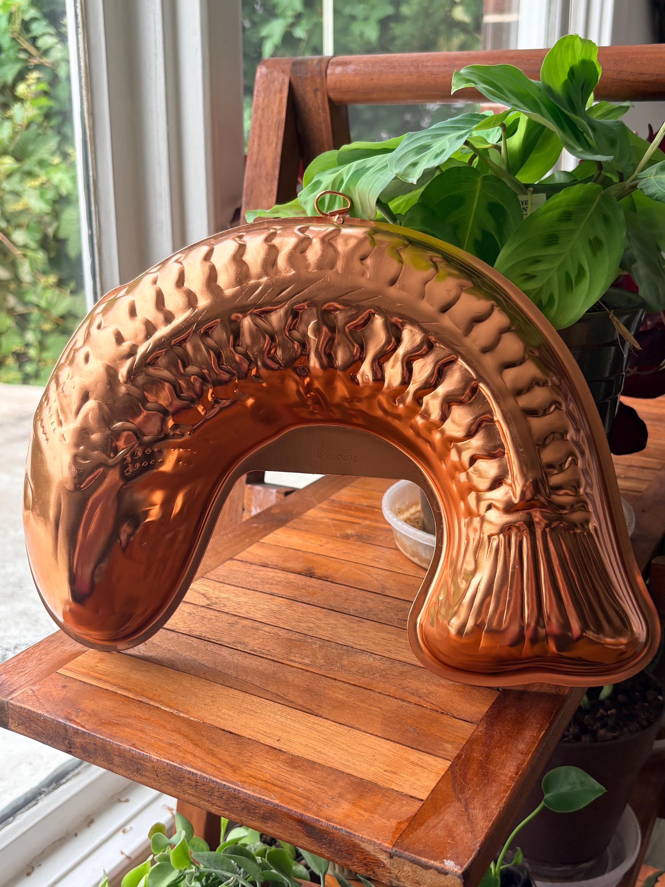 Mirro Fish Mold - Etsy