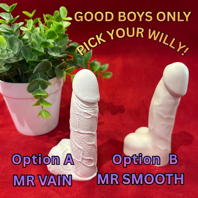 May include: Two white phallic-shaped sculptures on a red surface. Option A, labeled MR VAIN, has a textured surface. Option B, labeled MR SMOOTH, has a plain surface. Text reads GOOD BOYS ONLY PICK YOUR WILLY! A green plant in a white pot is visible.