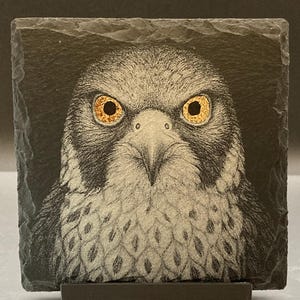 Könnte beinhalten: Quadratischer Schieferuntersetzer mit einer detaillierten Illustration eines Falkengesichts. Die stechenden gelben Augen des Vogels sind der Mittelpunkt, vor einem Hintergrund aus schwarzen und grauen Federn. Der Untersetzer wird auf einem kleinen, dunklen Ständer präsentiert.