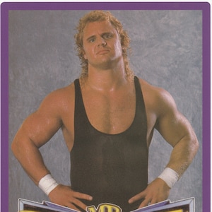 WWE Elite Curt Hennig カート・ヘニング 新品開封のみ WWE Elite Curt Hennig カート・ヘニング 新品開封のみ スポーツ