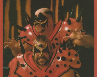 ロードウォリアーズ アニマル&ホーク LOD WWF Ljn インスパイア