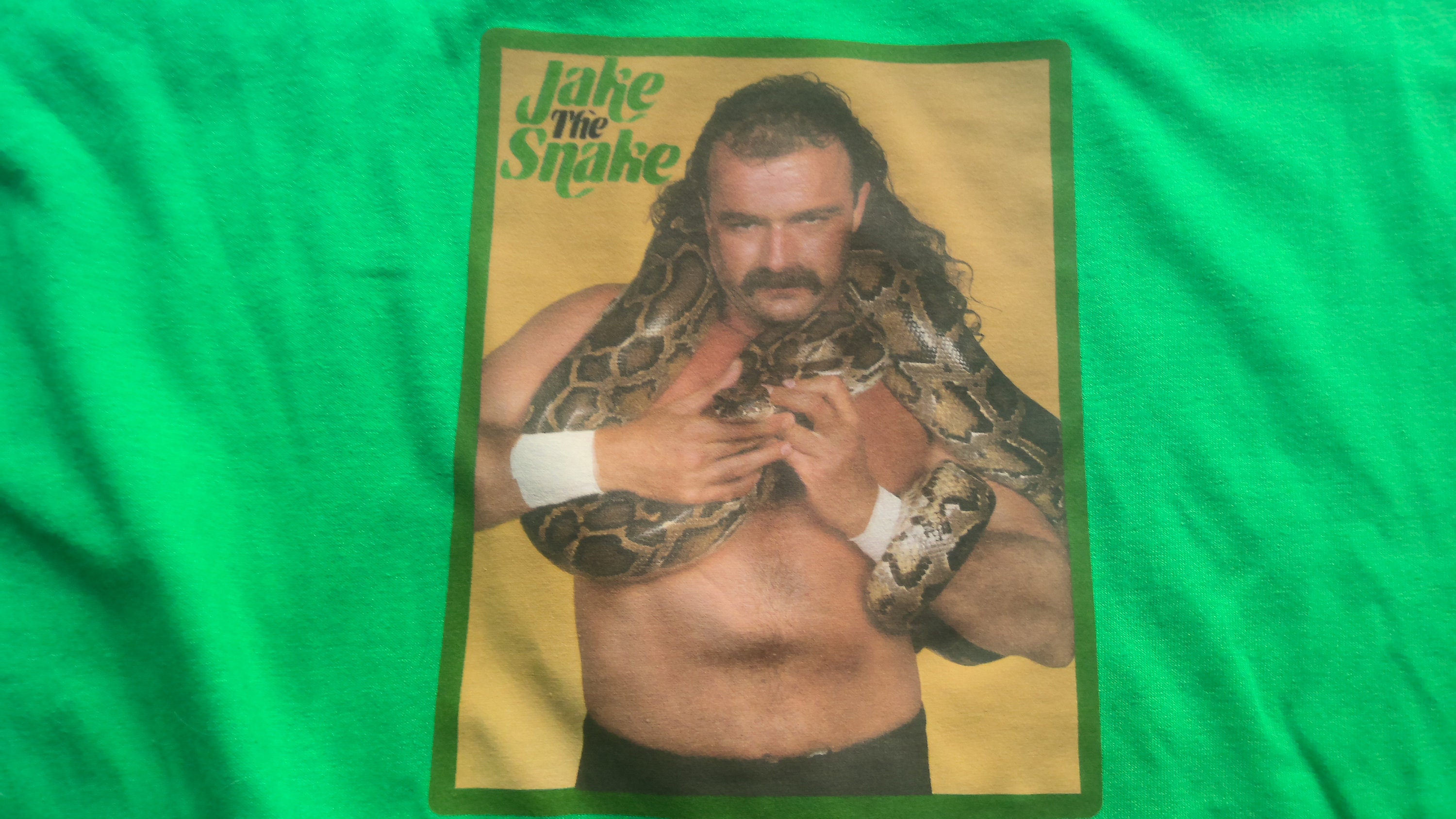 ヴィンテージスタイル ジェイク・ザ・スネーク・ロバーツ WWF