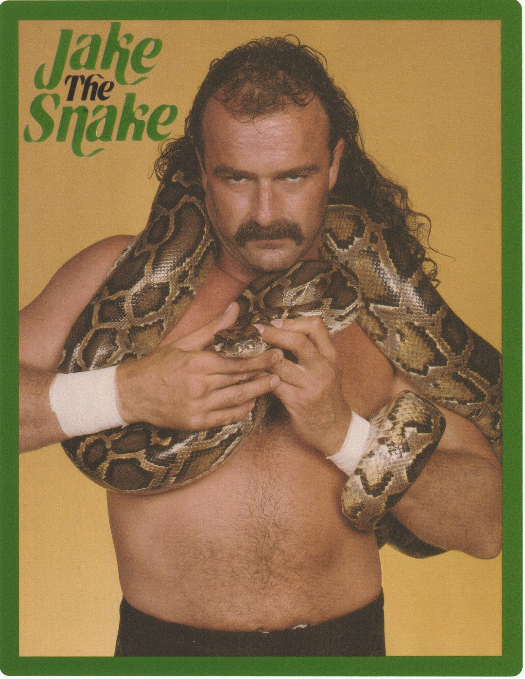 ジェイク・ザ・スネーク・ロバーツ WWEクラシックスーパースター