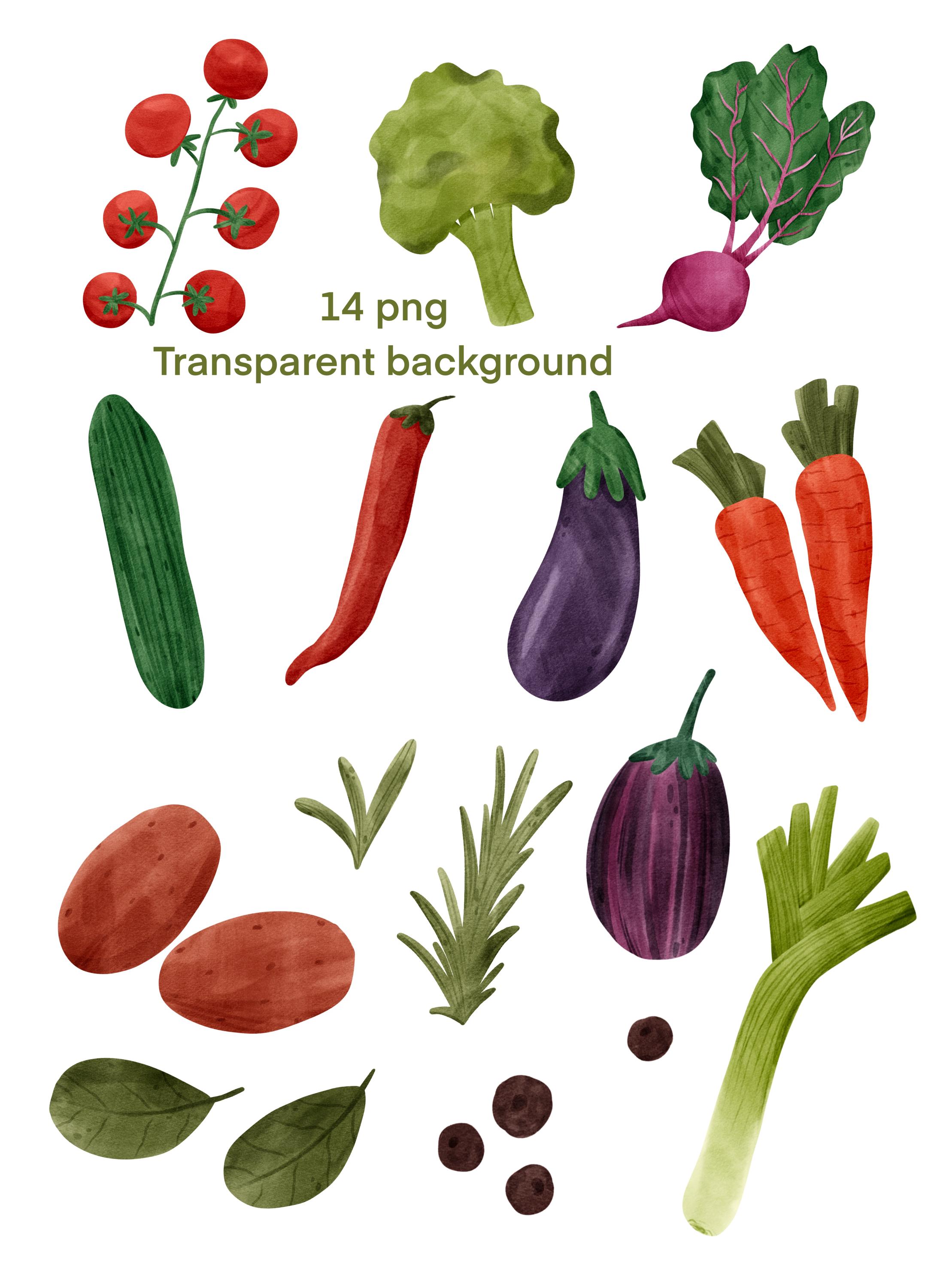 Watercolor Vegetable Clipart, Garden Veggies PNG Set - Etsy