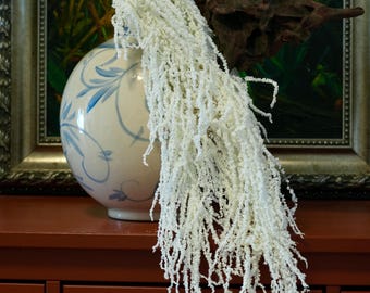 White Hanging Amaranthus – Preserved / Dried Amaranthus Garland, Minimalist, Plant Lover Gift, Boho Vintage Rustic Home Decor, Pet Friendly
