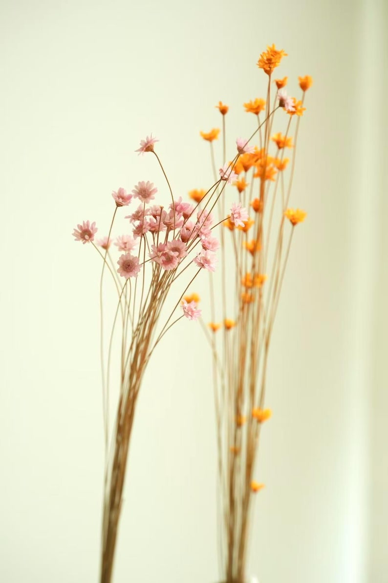 May include: Two bunches of dried flowers against a white backdrop. One has delicate pink blooms, the other vibrant orange flowers. The stems are thin and brown, creating a natural, minimalist aesthetic. Ideal for home decor.