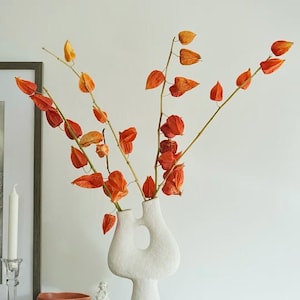 Dried Chinese Lanterns - Etsy