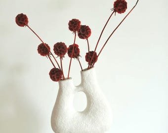 Dried Burgundy Red Scabiosa Pods 10 Stems Bundle, Natural Drumstick Unique Sculptural Dried Flowers, Modern Minimalist, Boho Chic Vintage