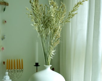 Preserved Natrual Oat Bundle, Wild Oat Stems, Dried Grass Bouquet, Rustic Wedding Decor, Boho Chic Vintage Decor, Minimalist, Maximalist