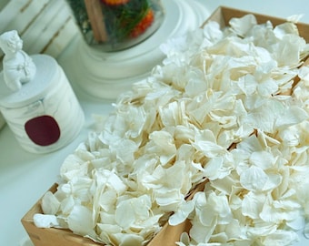1oz. Dried Ivory Hydrangea Petals Confetti Bags: Biodegradable Wedding Toss, Dried Flowers
