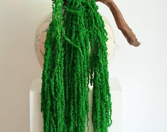 Green Hanging Amaranthus, Preserved Dried Amaranthus Garland, Minimalist, Plant Lover Gift, Boho Vintage Rustic Home Decor, Pet Friendly