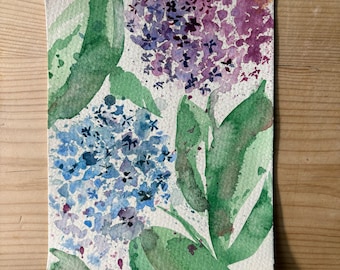 Salty Hydrangeas Watercolor Print: Coastal Summer Blooms 5x7 (Unframed)