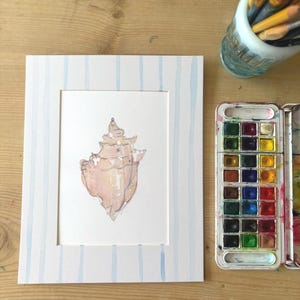 Shell — Where the Tide Left Me
