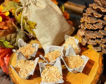 Könnte beinhalten: Ein beigefarbener Jutebeutel mit Kordelzug hinter sechs kleinen, grauen, geformten Papierbechern, die mit hellbraunen Holzspänen gefüllt sind. Die Objekte liegen auf einer runden Holzscheibe, ergänzt durch einen großen Kiefernzapfen und Herbstlaub.