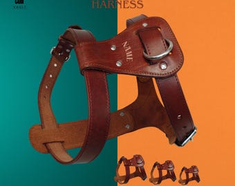 Personalized Leather Dog Harness, Custom Engraved Pet Gear