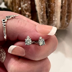 1.0CT Certified  Moissanite Blue Diamond Earrings
