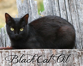 Black Cat - Ritual Anointing Oil