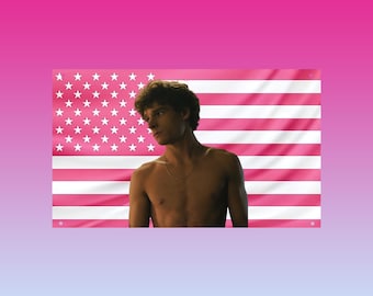 Mason Thames Flag, Pink Aesthetic Wall Flag, Mason Thames Shirtless Flag, Actor Fan Room Decor