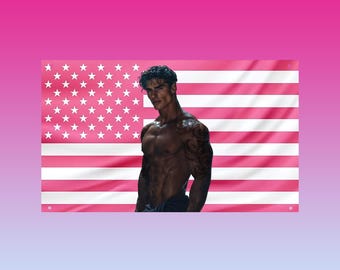 Rhysand Pink USA Flag | ACOTAR Hot Fantasy Wall Art | Booktok Night Court Aesthetic Tapestry | Hot Bookish Fae Decor