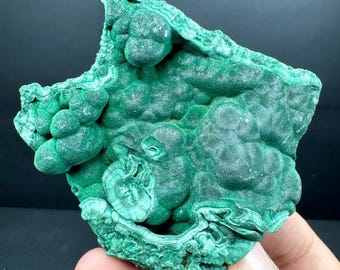 以下が含まれることがあります： 鮮やかな緑色のマラカイト標本で、質感のある波状の表面です。鉱物は、渦や形成物の複雑なパターンを持つ、豊かで深い緑色を示しています。天然石が手で持たれています。