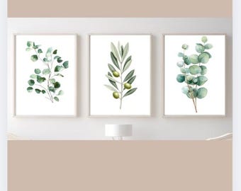 Puede incluir: Tres impresiones botánicas enmarcadas con ilustraciones de acuarela de vegetación. Las impresiones muestran eucalipto, ramas de olivo con aceitunas y más eucalipto. Los marcos son de color claro y el fondo es blanco.