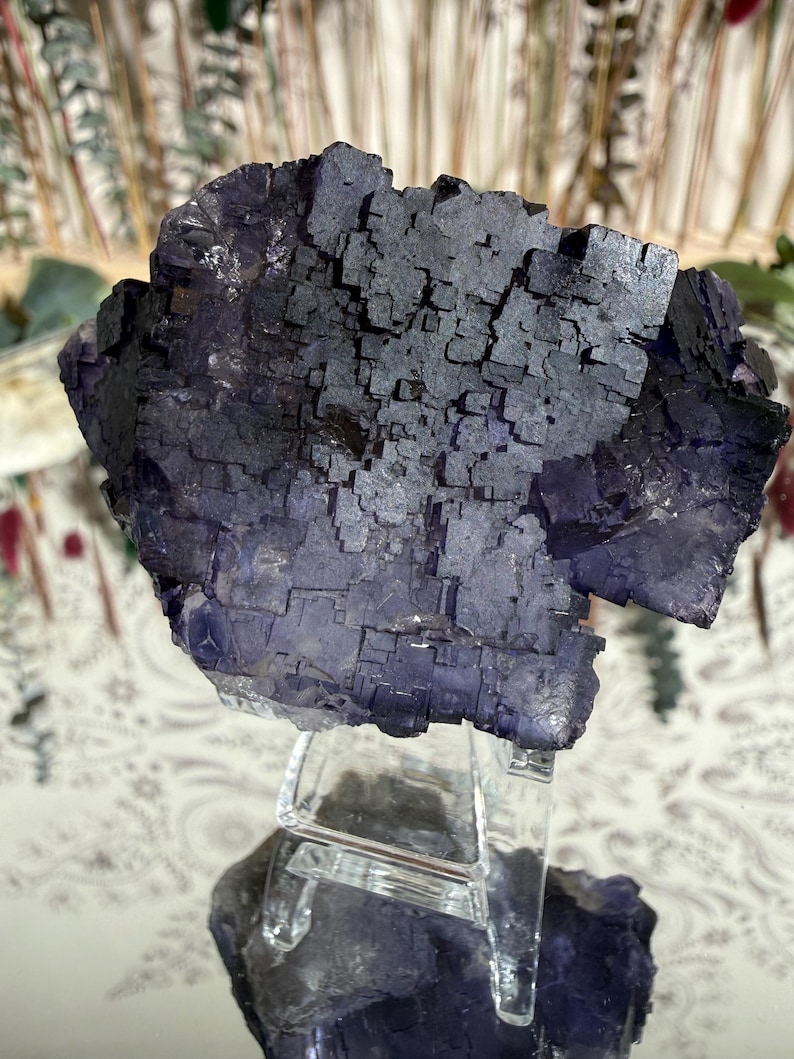 Puede incluir: Un gran grupo de cristales de fluorita de color p&uacute;rpura oscuro con una estructura c&uacute;bica. El cristal se exhibe sobre un soporte acr&iacute;lico transparente, mostrando su forma natural y variaciones de color. La piedra tiene una superficie texturizada.