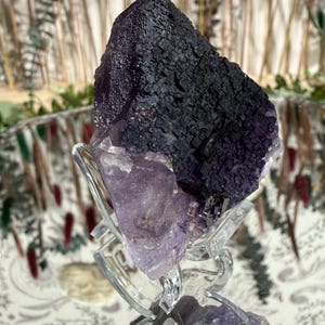 Puede incluir: Un gran cristal de fluorita en bruto, predominantemente morado oscuro con una superficie texturizada, se exhibe sobre un soporte de vidrio transparente. La parte inferior del cristal hace la transici&oacute;n a un morado m&aacute;s claro y transl&uacute;cido. El soporte tiene un dise&ntilde;o decorativo y ondulado.