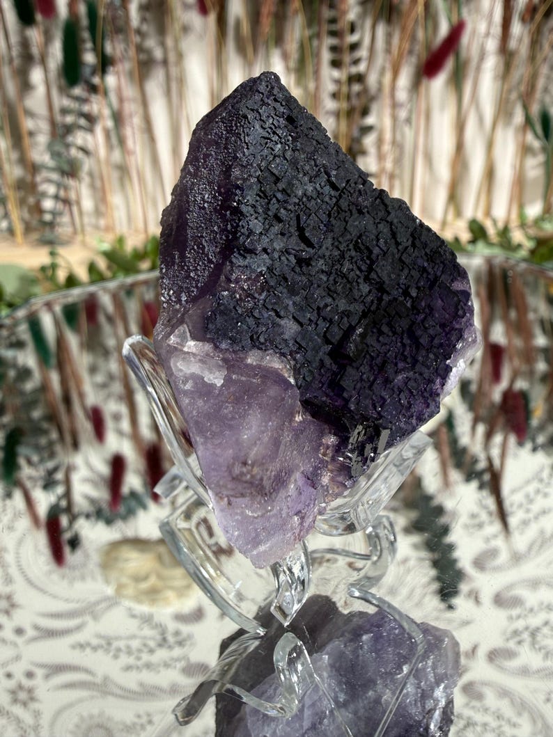 Puede incluir: Un gran cristal de fluorita en bruto, predominantemente morado oscuro con una superficie texturizada, se exhibe sobre un soporte de vidrio transparente. La parte inferior del cristal hace la transici&oacute;n a un morado m&aacute;s claro y transl&uacute;cido. El soporte tiene un dise&ntilde;o decorativo y ondulado.