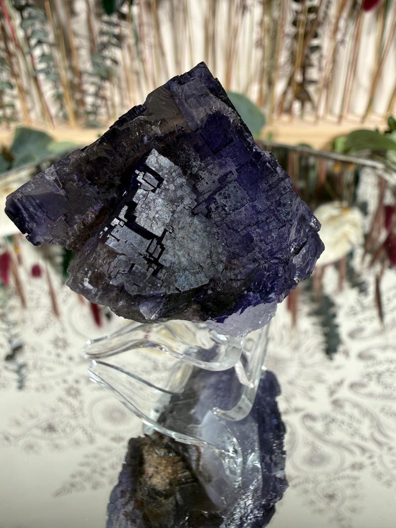 Puede incluir: Un grupo de cristales de fluorita de color p&uacute;rpura oscuro sobre un soporte de vidrio transparente. La superficie del cristal refleja la luz, mostrando su color y textura. El fondo est&aacute; borroso, con toques de vegetaci&oacute;n y un espejo decorativo.