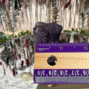 Puede incluir: Un cristal morado oscuro, de textura rugosa, se muestra junto a una regla de madera. La regla, marcada en pulgadas, muestra que el cristal mide aproximadamente 2,5 cm. El fondo presenta flores secas y una superficie reflectante.