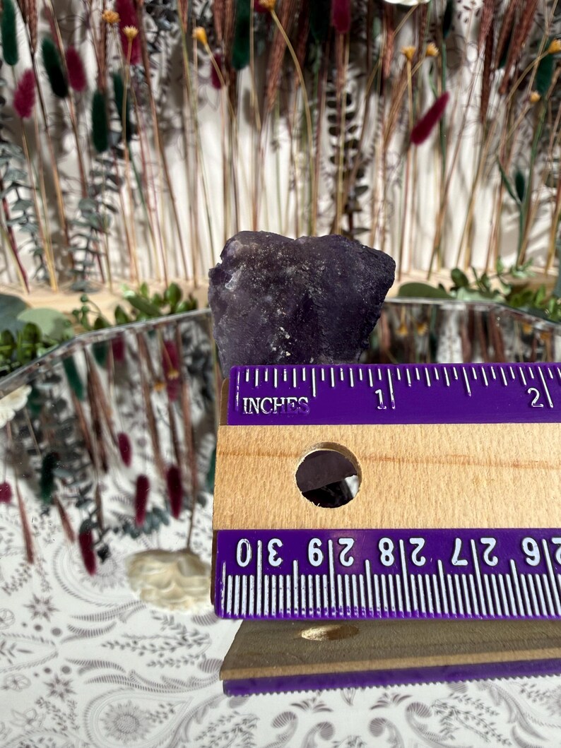 Puede incluir: Un cristal morado oscuro, de textura rugosa, se muestra junto a una regla de madera. La regla, marcada en pulgadas, muestra que el cristal mide aproximadamente 2,5 cm. El fondo presenta flores secas y una superficie reflectante.