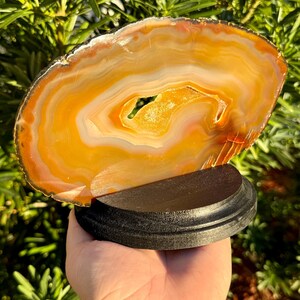 Natural Brazilian Agate Slice on Wooden Stand | Crystal Shelf Decor