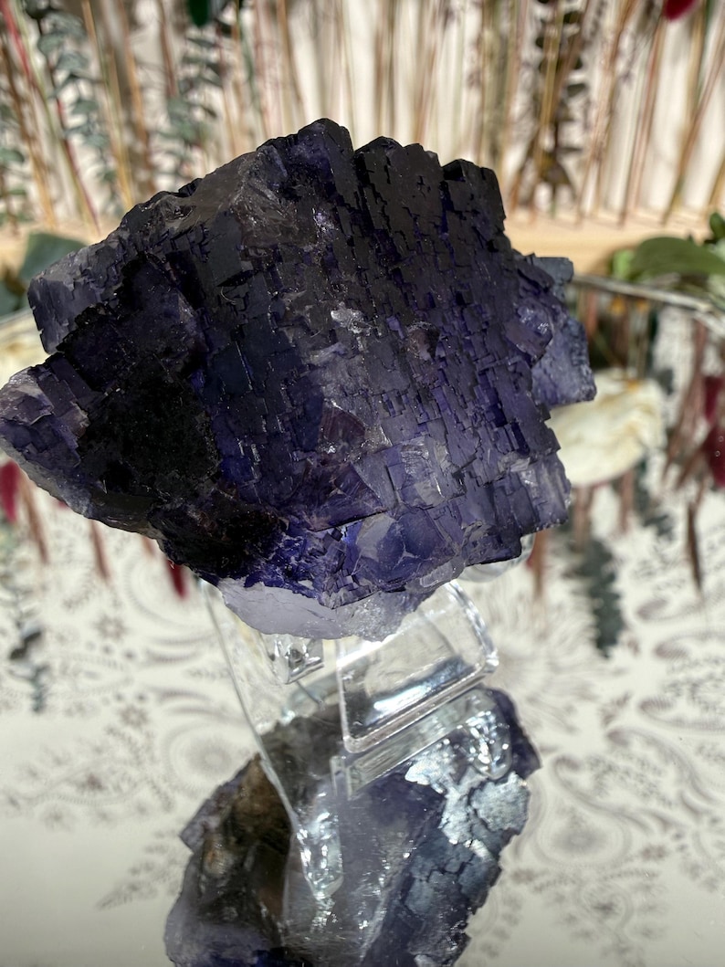 Puede incluir: Un gran grupo de cristales de fluorita de color p&uacute;rpura oscuro con una estructura c&uacute;bica. El cristal est&aacute; montado sobre un soporte acr&iacute;lico transparente, mostrando su forma natural y variaciones de color. La superficie del cristal tiene un aspecto texturizado, con zonas de violeta intenso y negro.