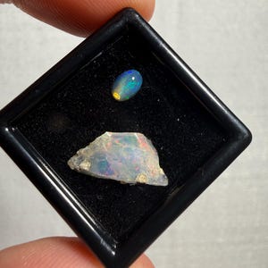 May include: A black square display case containing two opals. One is a small, smooth, oval-shaped dark opal with blue and green flashes. The other is a larger, irregular, translucent opal fragment displaying multi-colored iridescent light.