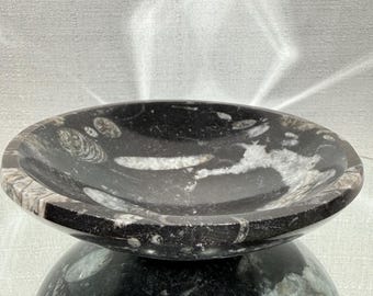 Orthoceras Fossil Bowl, 4 Inch Fossil Dish, Natural Orthoceras Fossil Decor, Collector Fossil Specimen