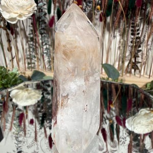 May include: A clear quartz crystal point with internal inclusions and a polished surface. The crystal is standing upright, reflecting in a mirrored surface. The background includes dried flowers and decorative elements.