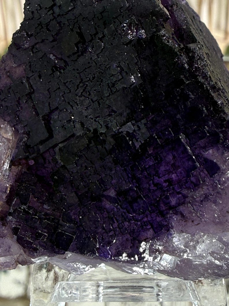 Puede incluir: Primer plano de un cristal de fluorita natural. El cristal presenta un tono p&uacute;rpura intenso con patrones geom&eacute;tricos oscuros, casi negros, en su superficie. La parte inferior del cristal tiene una apariencia m&aacute;s clara y transl&uacute;cida.