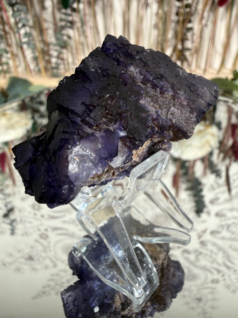 Puede incluir: Un esp&eacute;cimen de cristal de fluorita p&uacute;rpura oscuro con una superficie en capas y texturizada. El cristal est&aacute; montado sobre un soporte transparente y geom&eacute;trico, mostrando su belleza natural. La fluorita tiene un color profundo y rico.