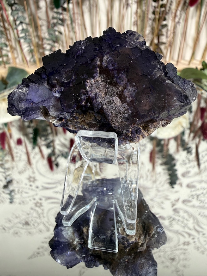 Puede incluir: Un esp&eacute;cimen mineral de fluorita de color p&uacute;rpura oscuro con una superficie rugosa y texturizada. La fluorita se exhibe sobre un soporte de vidrio transparente y en &aacute;ngulo. El fondo presenta una superficie estampada y follaje.