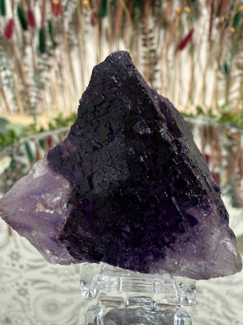 Puede incluir: Un gran cristal de fluorita en bruto, de color p&uacute;rpura oscuro, que transiciona a tonos lavanda m&aacute;s claros. El cristal tiene una superficie texturizada y se exhibe sobre un soporte de vidrio transparente. La forma general es angular y natural.