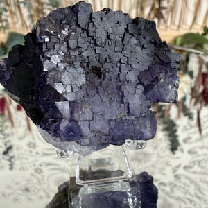 Puede incluir: Un grupo de cristales de fluorita de color p&uacute;rpura oscuro con una estructura c&uacute;bica, exhibido sobre un soporte acr&iacute;lico transparente. El cristal tiene una superficie texturizada y diferentes tonos de p&uacute;rpura. El fondo est&aacute; borroso, con toques de vegetaci&oacute;n y una superficie estampada.
