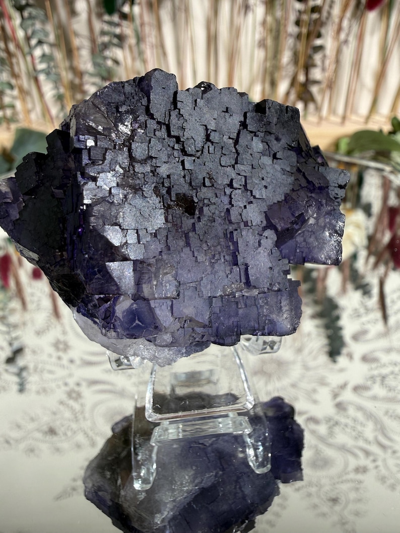 Puede incluir: Un grupo de cristales de fluorita de color p&uacute;rpura oscuro con una estructura c&uacute;bica, exhibido sobre un soporte acr&iacute;lico transparente. El cristal tiene una superficie texturizada y diferentes tonos de p&uacute;rpura. El fondo est&aacute; borroso, con toques de vegetaci&oacute;n y una superficie estampada.