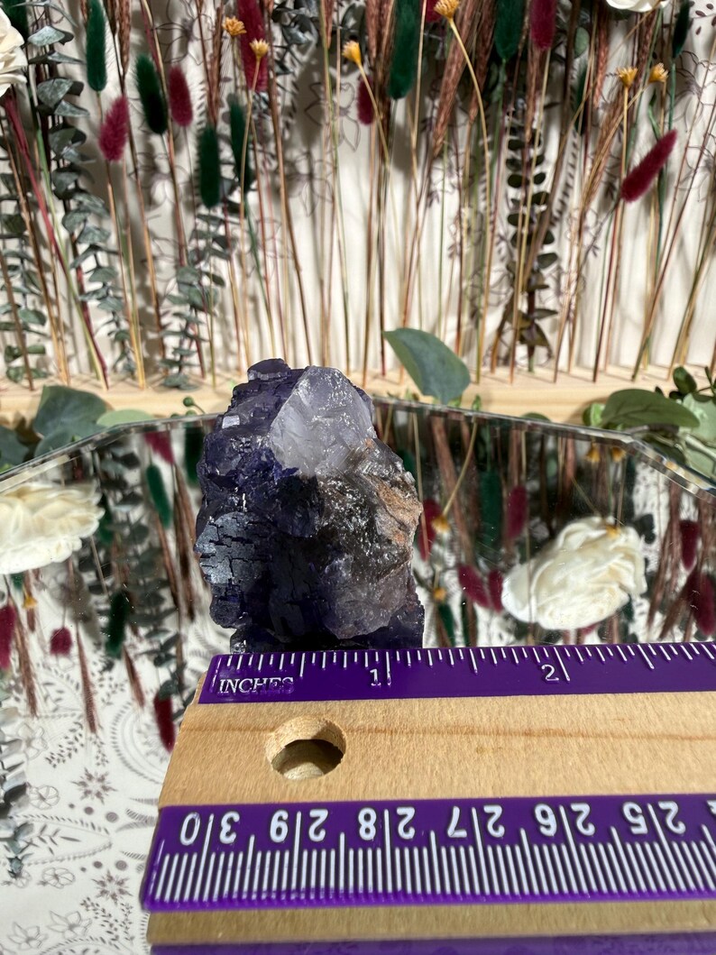 Puede incluir: Un cristal de fluorita en bruto, con tonos de p&uacute;rpura intenso y cuarzo transparente. El cristal mide aproximadamente 2,5 cm de largo, medido con una regla morada. El fondo presenta flores secas y una superficie espejada.