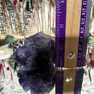 Puede incluir: Un gran grupo de cristales de fluorita de color p&uacute;rpura oscuro, de aproximadamente 7,6 cm de largo, se muestra junto a una regla. El cristal tiene una superficie rugosa y texturizada y se exhibe sobre una superficie espejada. El fondo presenta flores secas.