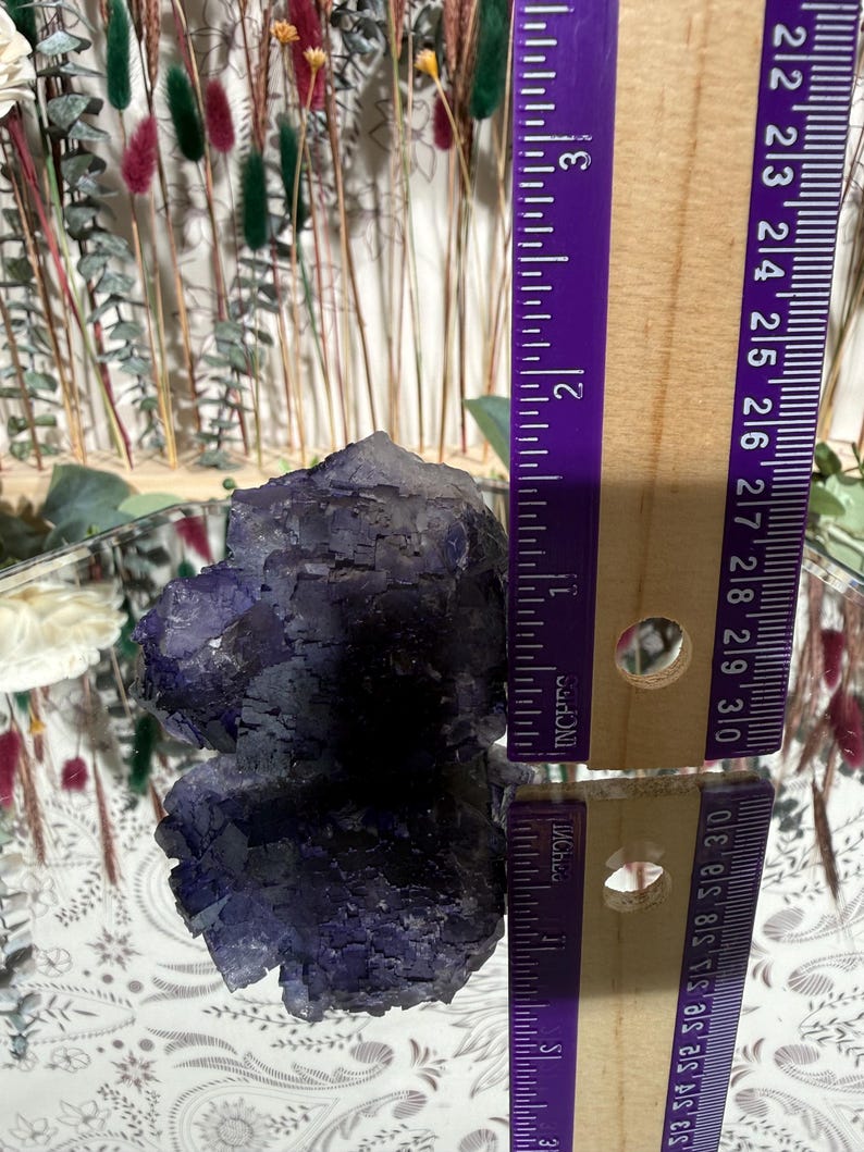 Puede incluir: Un gran grupo de cristales de fluorita de color p&uacute;rpura oscuro, de aproximadamente 7,6 cm de largo, se muestra junto a una regla. El cristal tiene una superficie rugosa y texturizada y se exhibe sobre una superficie espejada. El fondo presenta flores secas.