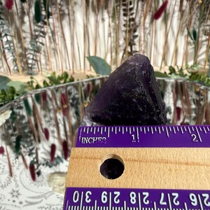 Puede incluir: Se muestra un cristal de amatista morado oscuro, de aproximadamente 3,8 cm de altura. Se coloca una regla de madera con marcas en pulgadas junto al cristal para comparar el tama&ntilde;o. El fondo presenta flores secas y una superficie reflectante.