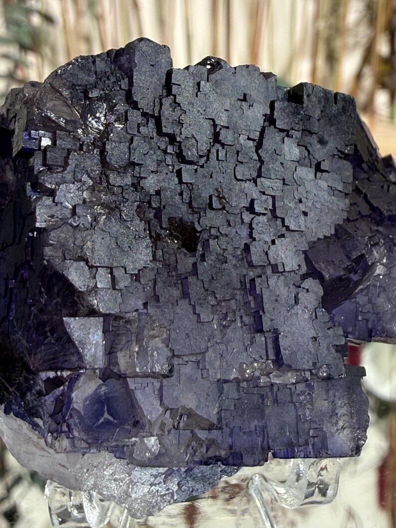 Puede incluir: Primer plano de un grupo de cristales de fluorita de color p&uacute;rpura oscuro. El cristal tiene una estructura c&uacute;bica con un color profundo, casi negro en algunas zonas. La base del cristal es de un p&uacute;rpura m&aacute;s claro y transl&uacute;cido.