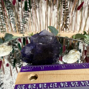 Puede incluir: Un grupo de cristales de fluorita de color p&uacute;rpura oscuro, de aproximadamente 5 cm de largo, se encuentra sobre una superficie espejada. El cristal tiene una superficie rugosa y texturizada y un degradado de color. Una regla de madera con marcas en pulgadas est&aacute; en primer plano.