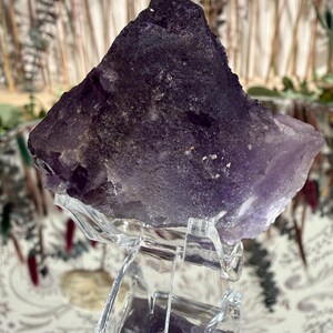 Puede incluir: Un gran cristal de amatista en bruto, de color p&uacute;rpura intenso, exhibido sobre un soporte de acr&iacute;lico transparente. La superficie del cristal es rugosa y texturizada, mostrando formaciones naturales. El fondo presenta vegetaci&oacute;n borrosa.