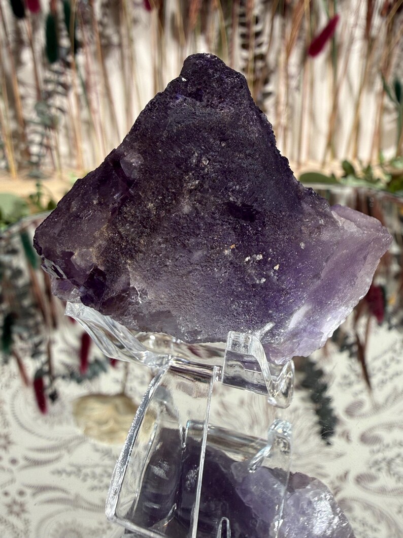 Puede incluir: Un gran cristal de amatista en bruto, de color p&uacute;rpura intenso, exhibido sobre un soporte de acr&iacute;lico transparente. La superficie del cristal es rugosa y texturizada, mostrando formaciones naturales. El fondo presenta vegetaci&oacute;n borrosa.